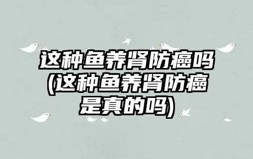 這種魚(yú)養(yǎng)腎防癌嗎(這種魚(yú)養(yǎng)腎防癌是真的嗎)