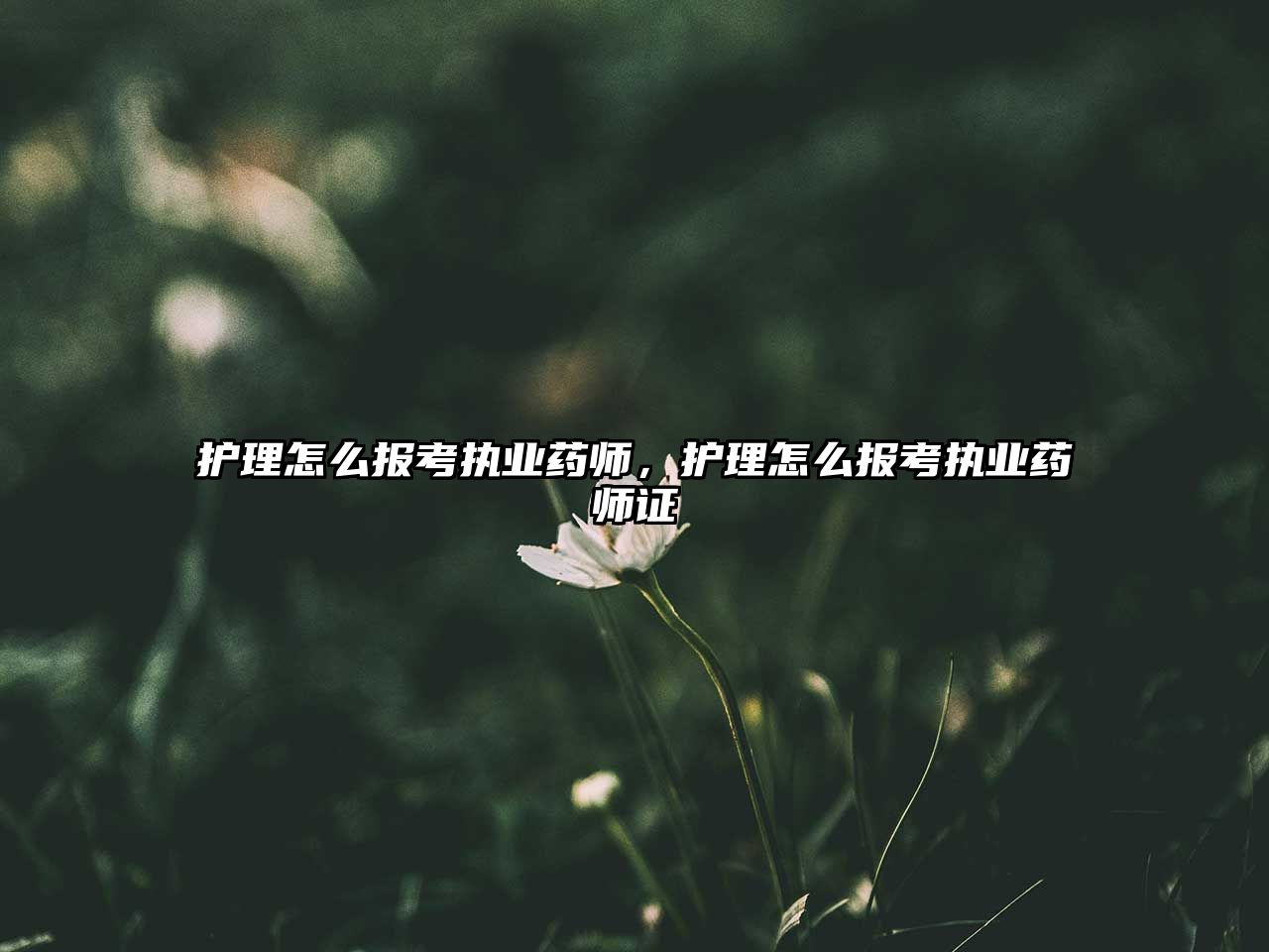 護(hù)理怎么報考執(zhí)業(yè)藥師，護(hù)理怎么報考執(zhí)業(yè)藥師證