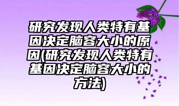 研究發(fā)現(xiàn)人類特有基因決定腦容大小的原因(研究發(fā)現(xiàn)人類特有基因決定腦容大小的方法)