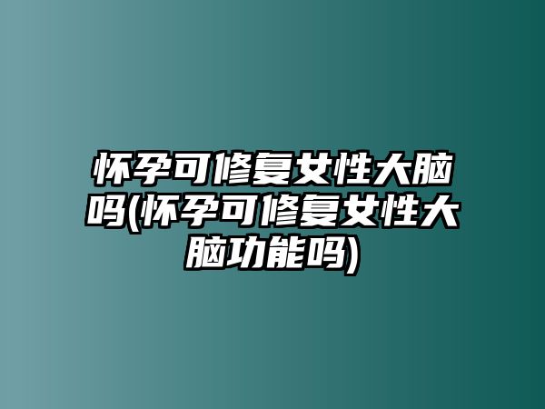 懷孕可修復(fù)女性大腦嗎(懷孕可修復(fù)女性大腦功能嗎)