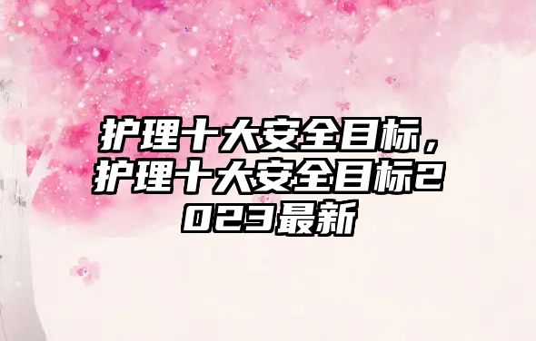 護(hù)理十大安全目標(biāo)，護(hù)理十大安全目標(biāo)2023最新