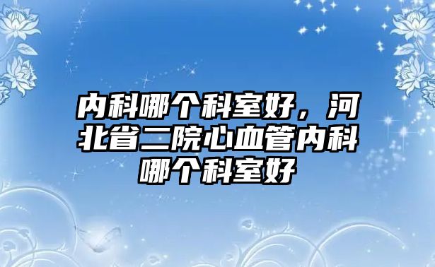 內(nèi)科哪個(gè)科室好，河北省二院心血管內(nèi)科哪個(gè)科室好