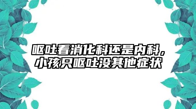 嘔吐看消化科還是內(nèi)科，小孩只嘔吐沒其他癥狀