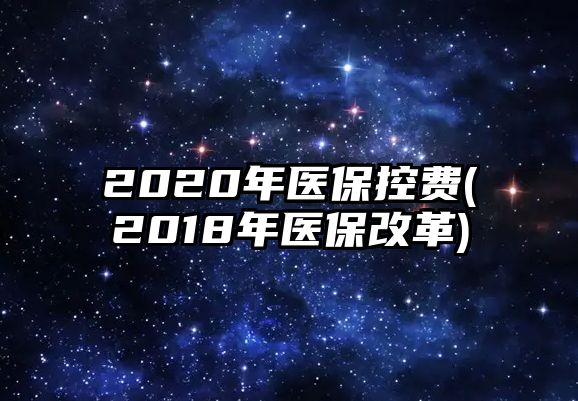 2020年醫(yī)保控費(fèi)(2018年醫(yī)保改革)