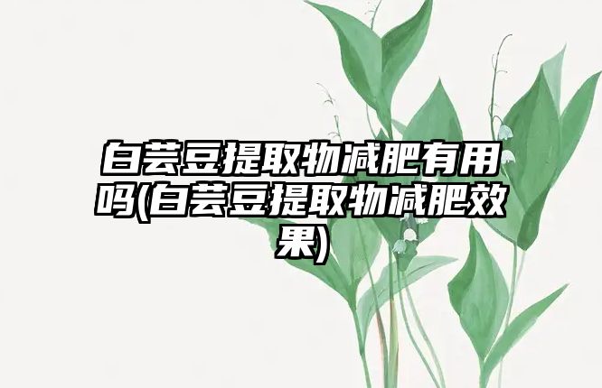 白蕓豆提取物減肥有用嗎(白蕓豆提取物減肥效果)