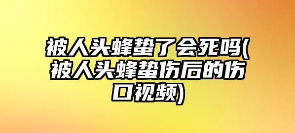 被人頭蜂蟄了會(huì)死嗎(被人頭蜂蟄傷后的傷口視頻)