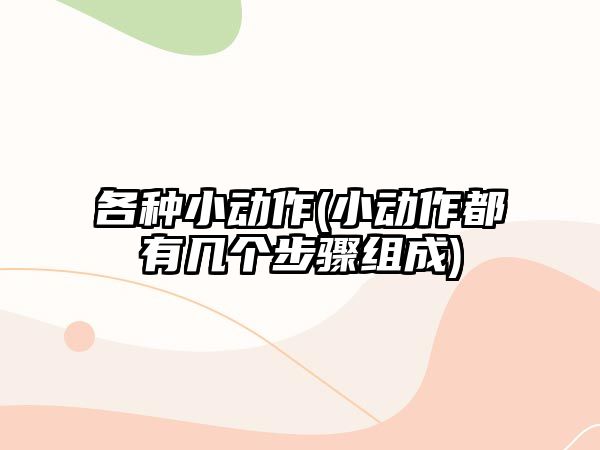 各種小動作(小動作都有幾個步驟組成)