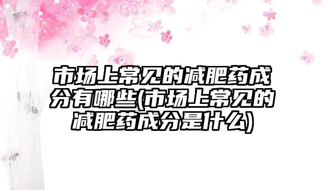 市場(chǎng)上常見的減肥藥成分有哪些(市場(chǎng)上常見的減肥藥成分是什么)