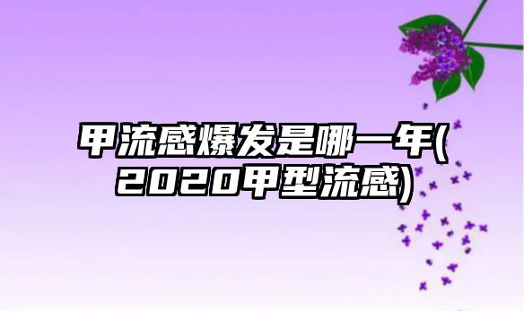 甲流感爆發(fā)是哪一年(2020甲型流感)