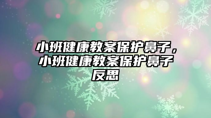 小班健康教案保護(hù)鼻子，小班健康教案保護(hù)鼻子反思