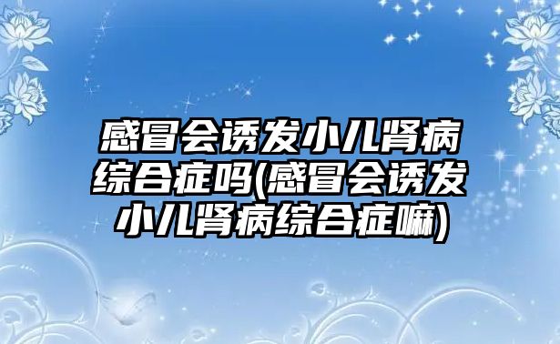 感冒會(huì)誘發(fā)小兒腎病綜合癥嗎(感冒會(huì)誘發(fā)小兒腎病綜合癥嘛)