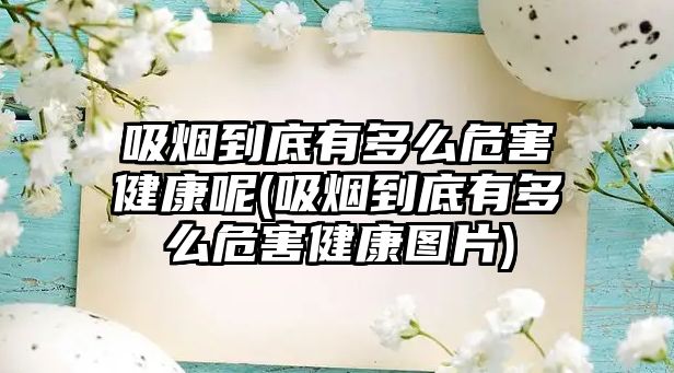 吸煙到底有多么危害健康呢(吸煙到底有多么危害健康圖片)