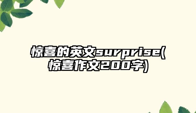 驚喜的英文surprise(驚喜作文200字)