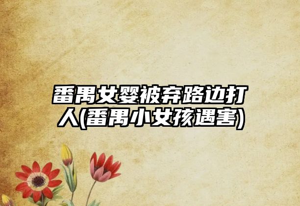 番禺女嬰被棄路邊打人(番禺小女孩遇害)