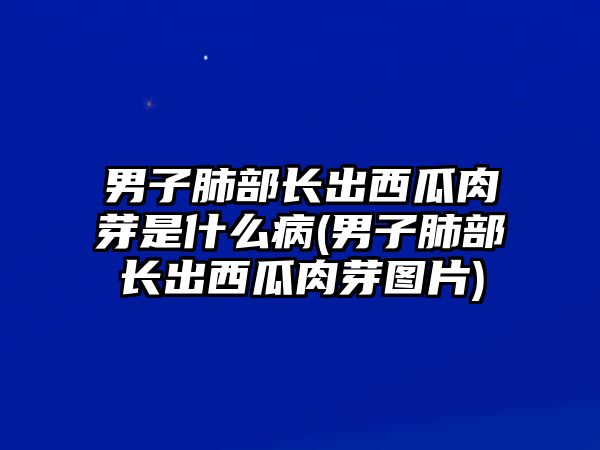 男子肺部長(zhǎng)出西瓜肉芽是什么病(男子肺部長(zhǎng)出西瓜肉芽圖片)