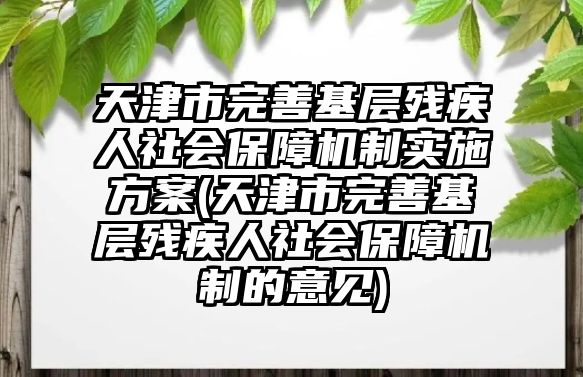 天津市完善基層殘疾人社會保障機(jī)制實(shí)施方案(天津市完善基層殘疾人社會保障機(jī)制的意見)