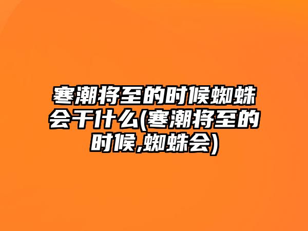 寒潮將至的時(shí)候蜘蛛會(huì)干什么(寒潮將至的時(shí)候,蜘蛛會(huì))