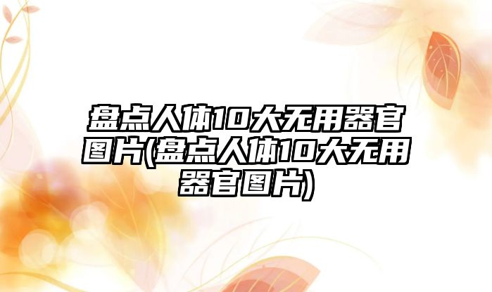 盤點(diǎn)人體10大無用器官圖片(盤點(diǎn)人體10大無用器官圖片)