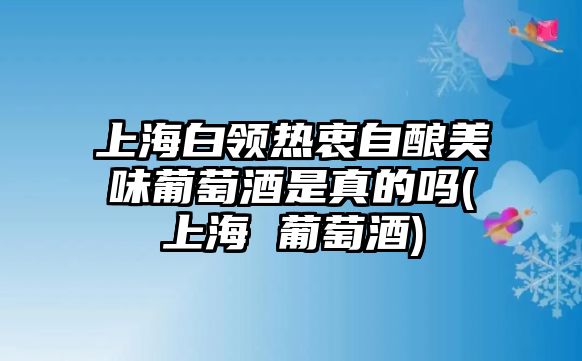 上海白領熱衷自釀美味葡萄酒是真的嗎(上海 葡萄酒)