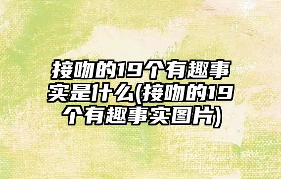 接吻的19個(gè)有趣事實(shí)是什么(接吻的19個(gè)有趣事實(shí)圖片)