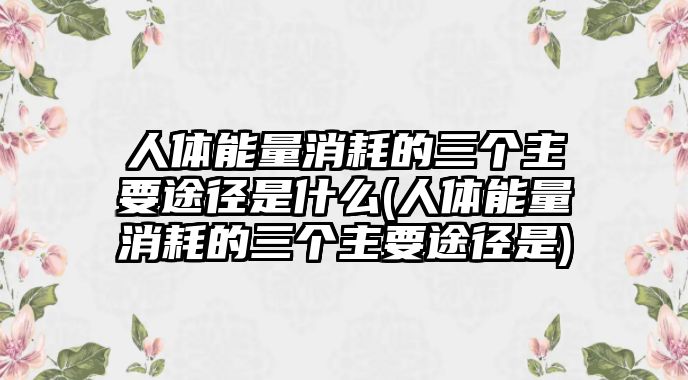 人體能量消耗的三個主要途徑是什么(人體能量消耗的三個主要途徑是)