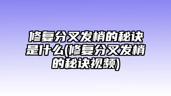 修復分叉發(fā)梢的秘訣是什么(修復分叉發(fā)梢的秘訣視頻)