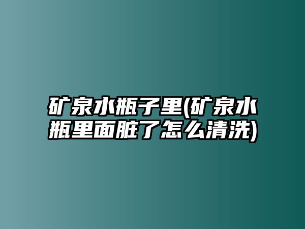 礦泉水瓶子里(礦泉水瓶里面臟了怎么清洗)