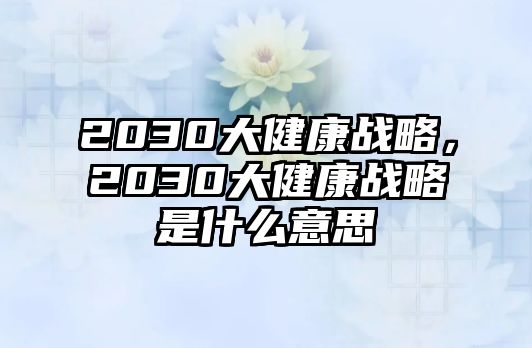 2030大健康戰(zhàn)略，2030大健康戰(zhàn)略是什么意思