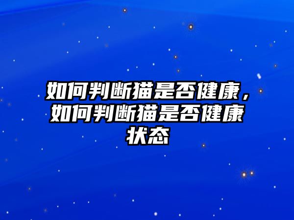 如何判斷貓是否健康，如何判斷貓是否健康狀態(tài)