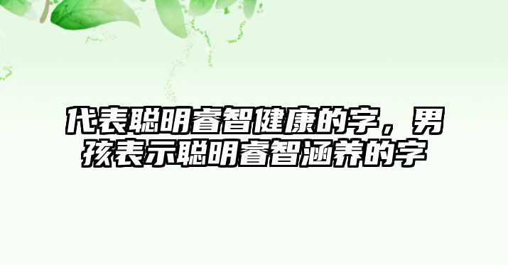 代表聰明睿智健康的字，男孩表示聰明睿智涵養(yǎng)的字