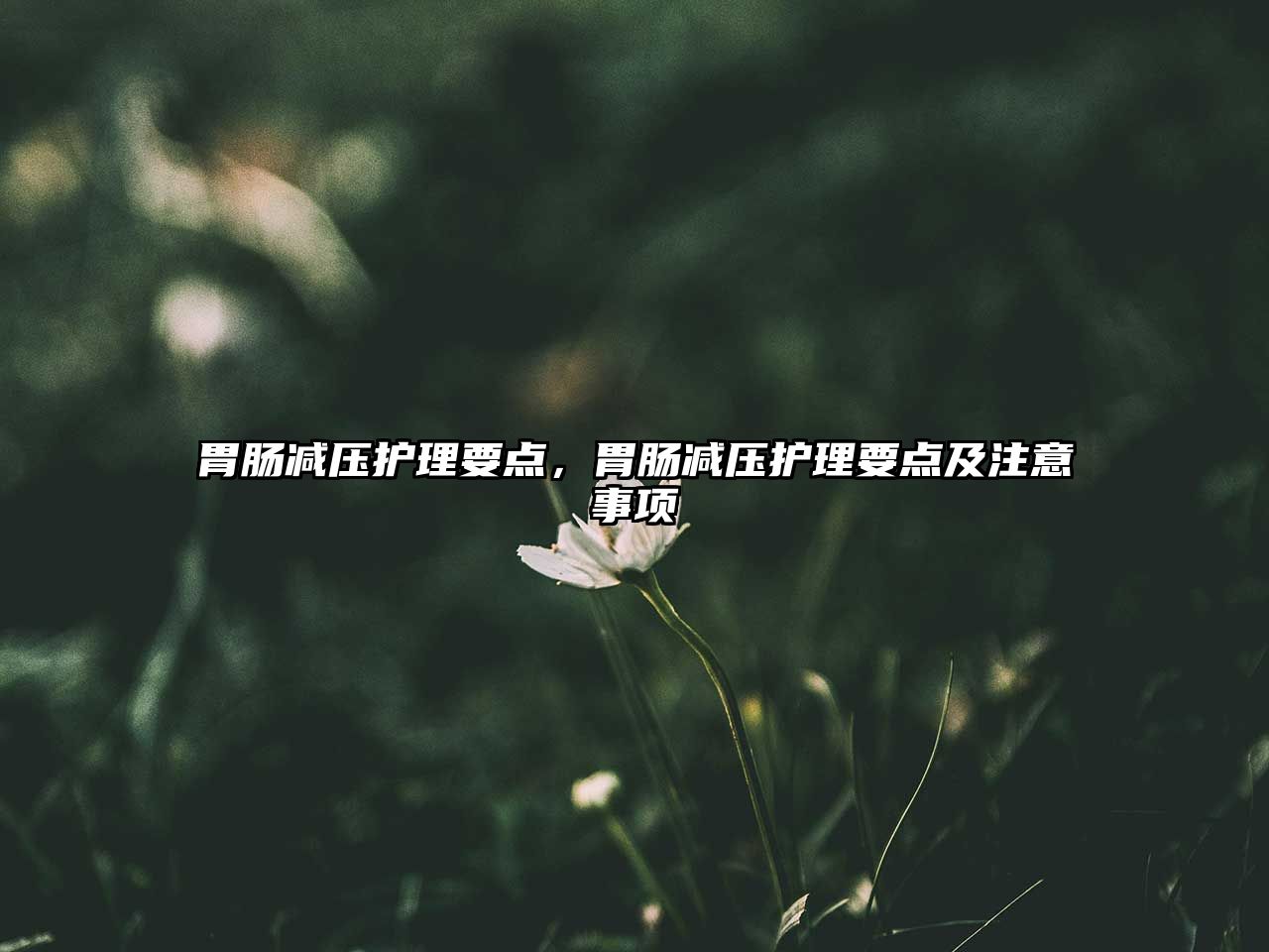 胃腸減壓護(hù)理要點(diǎn)，胃腸減壓護(hù)理要點(diǎn)及注意事項(xiàng)