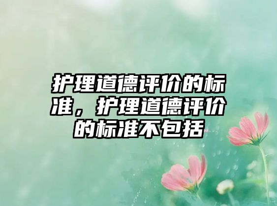 護理道德評價的標準，護理道德評價的標準不包括