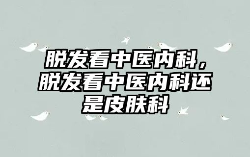 脫發(fā)看中醫(yī)內(nèi)科，脫發(fā)看中醫(yī)內(nèi)科還是皮膚科